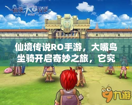 仙境传说RO手游，大嘴鸟坐骑开启奇妙之旅，它究竟为何消失？