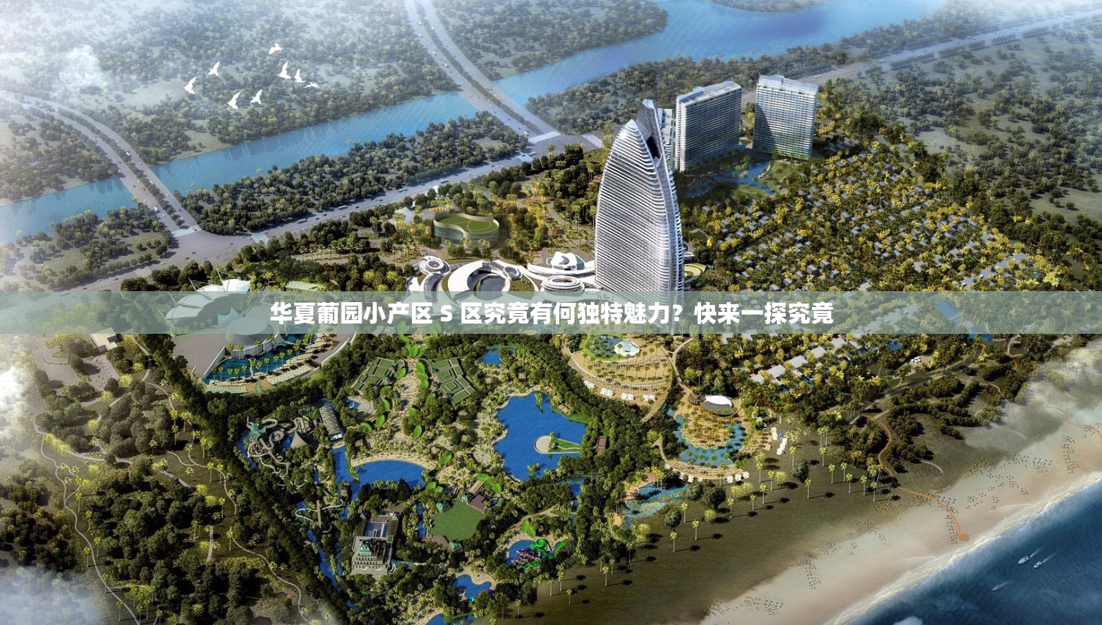 华夏葡园小产区 S 区究竟有何独特魅力？快来一探究竟