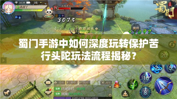 蜀门手游中如何深度玩转保护苦行头陀玩法流程揭秘？