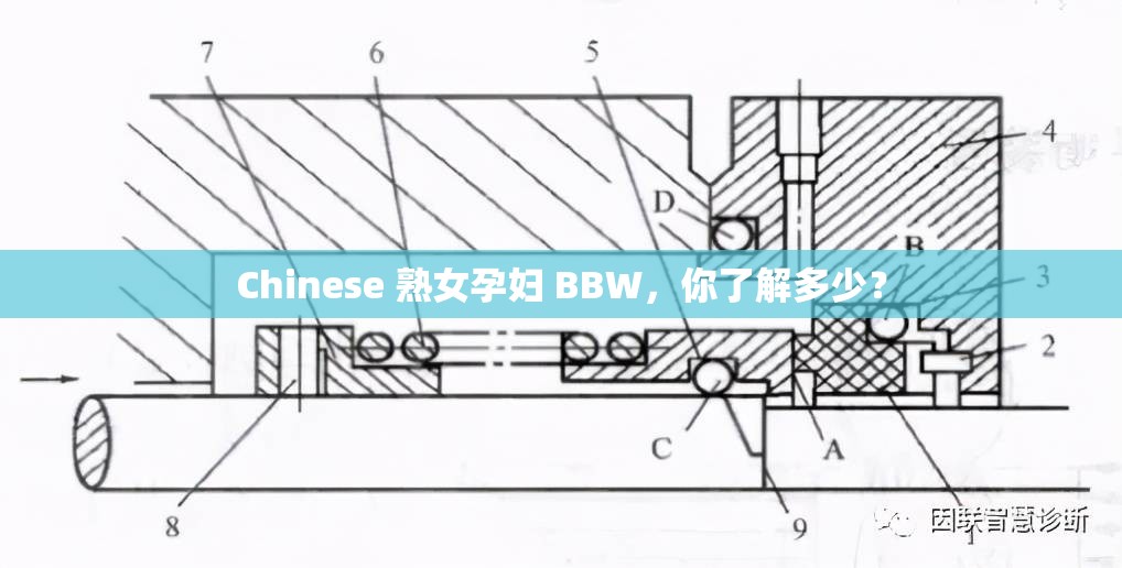 Chinese 熟女孕妇 BBW，你了解多少？