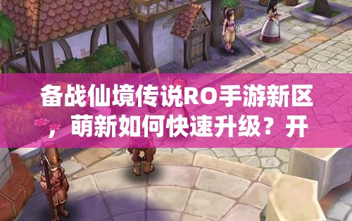 备战仙境传说RO手游新区，萌新如何快速升级？开区攻略大揭秘！