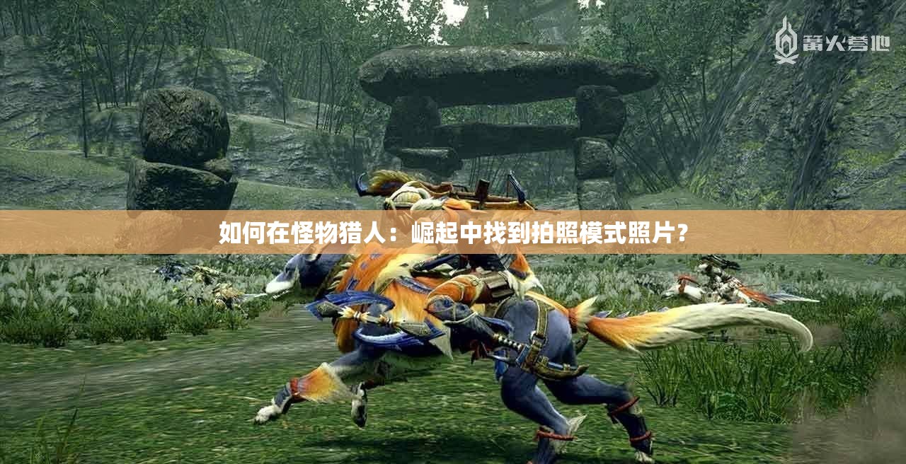 如何在怪物猎人：崛起中找到拍照模式照片？