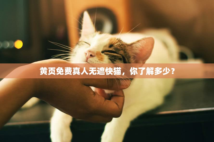 黄页免费真人无遮快猫，你了解多少？