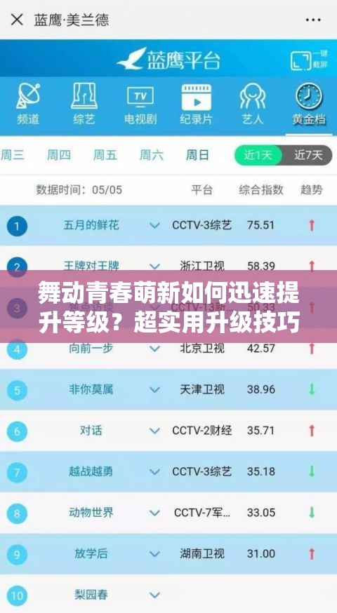 舞动青春萌新如何迅速提升等级？超实用升级技巧大揭秘！
