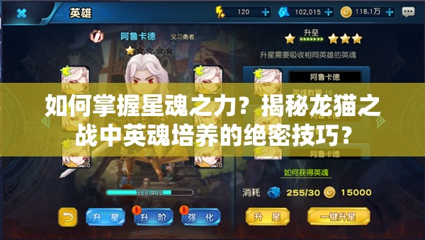 如何掌握星魂之力？揭秘龙猫之战中英魂培养的绝密技巧？