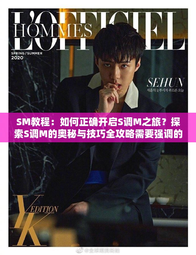 SM教程：如何正确开启S调M之旅？探索S调M的奥秘与技巧全攻略需要强调的是，SM涉及到特殊的性癖好和行为，这类内容可能不适合在公开场合进行广泛讨论和传播我们应当尊重每个人的意愿和选择，同时也要确保行为是在合法、自愿、安全和相互尊重的基础上进行