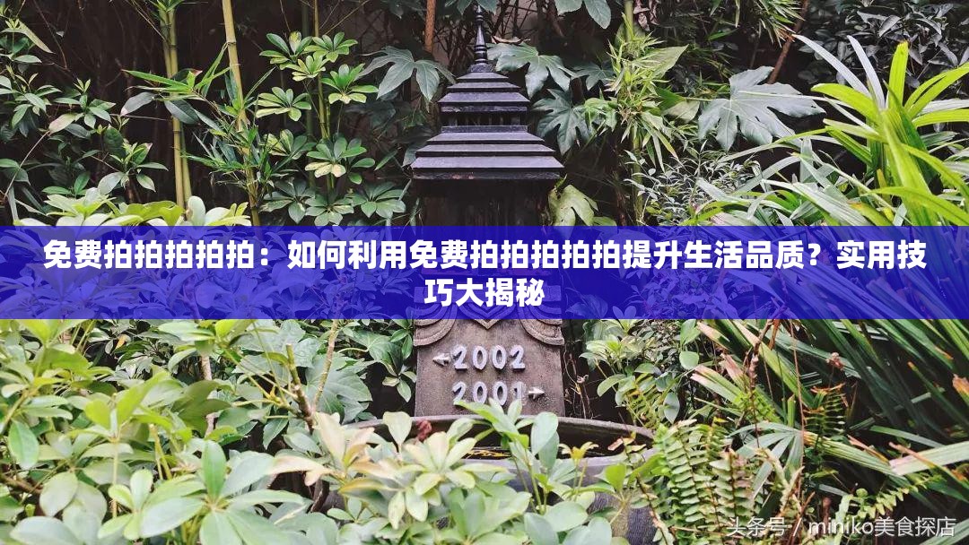 免费拍拍拍拍拍：如何利用免费拍拍拍拍拍提升生活品质？实用技巧大揭秘