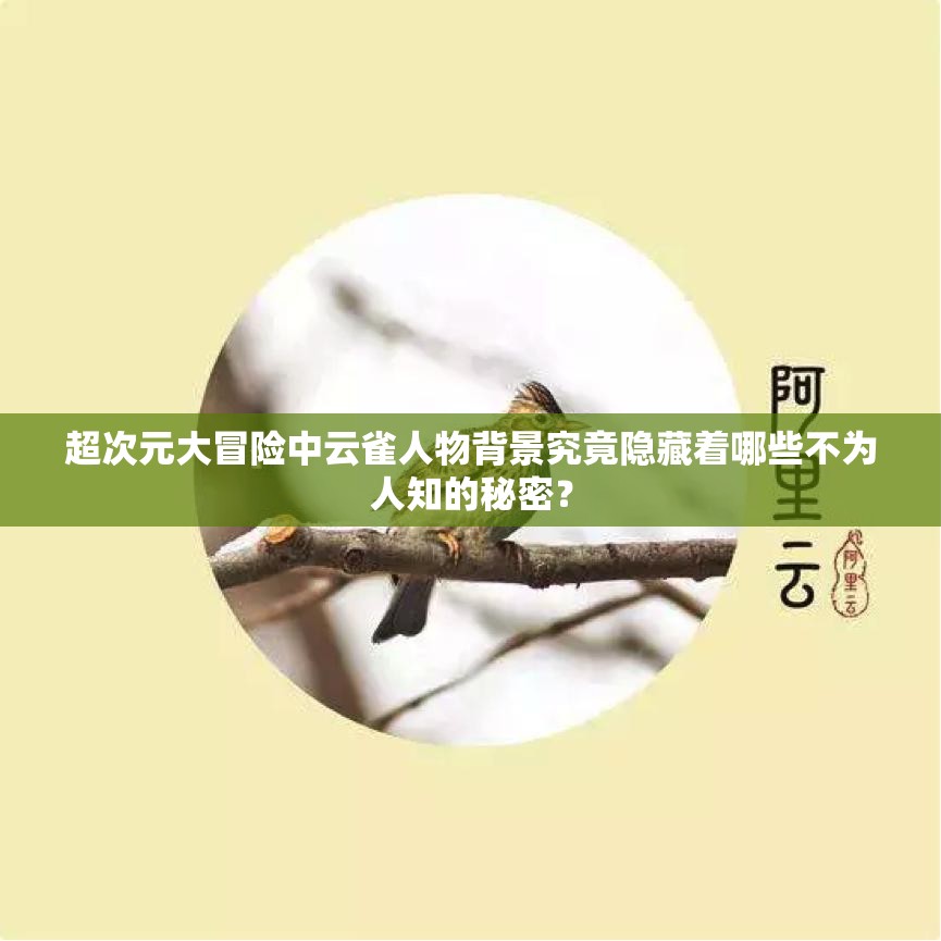 超次元大冒险中云雀人物背景究竟隐藏着哪些不为人知的秘密？