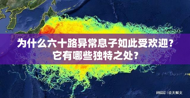 为什么六十路异常息子如此受欢迎？它有哪些独特之处？