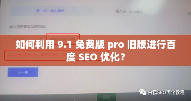 如何利用 9.1 免费版 pro 旧版进行百度 SEO 优化？