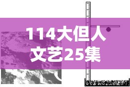 114大但人文艺25集深度解析：探讨艺术与文化的碰撞与融合，带你领略不一样的文艺世界