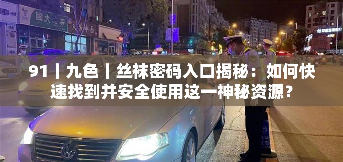 91丨九色丨丝袜密码入口揭秘：如何快速找到并安全使用这一神秘资源？