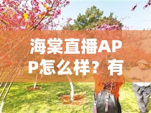 海棠直播APP怎么样？有哪些特色功能和精彩内容？快来一探究竟需要注意的是，海棠直播APP可能存在一些不合法或不良的内容，使用这类应用可能会带来风险，请谨慎选择