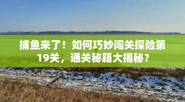 捕鱼来了！如何巧妙闯关探险第19关，通关秘籍大揭秘？