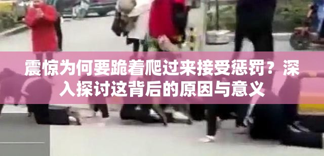 震惊为何要跪着爬过来接受惩罚？深入探讨这背后的原因与意义