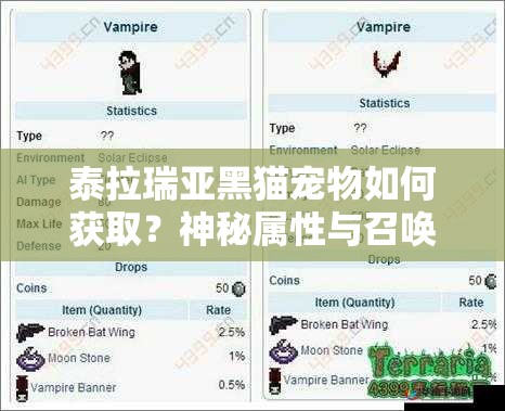 泰拉瑞亚黑猫宠物如何获取？神秘属性与召唤物ID全揭秘