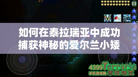 如何在泰拉瑞亚中成功捕获神秘的爱尔兰小矮妖？获取方法详解