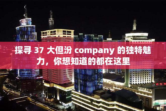 探寻 37 大但汾 company 的独特魅力，你想知道的都在这里