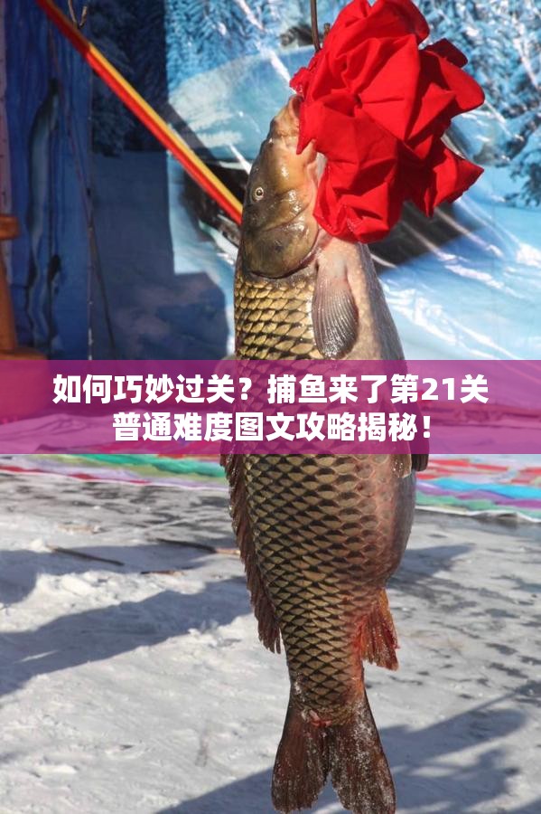 如何巧妙过关？捕鱼来了第21关普通难度图文攻略揭秘！