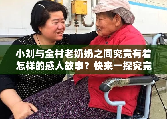 小刘与全村老奶奶之间究竟有着怎样的感人故事？快来一探究竟