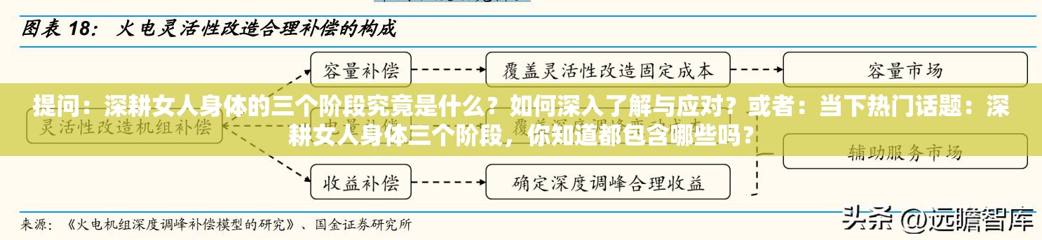 提问：深耕女人身体的三个阶段究竟是什么？如何深入了解与应对？或者：当下热门话题：深耕女人身体三个阶段，你知道都包含哪些吗？