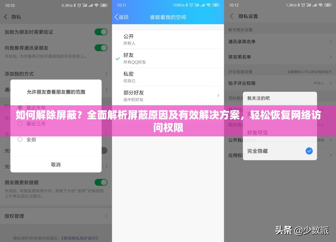 如何解除屏蔽？全面解析屏蔽原因及有效解决方案，轻松恢复网络访问权限
