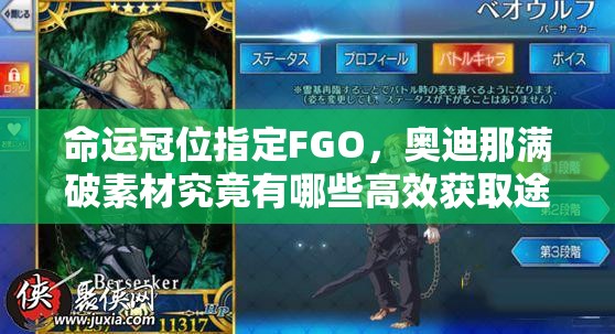 命运冠位指定FGO，奥迪那满破素材究竟有哪些高效获取途径？