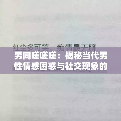 男同嗟嗟嗟：揭秘当代男性情感困惑与社交现象的真实故事