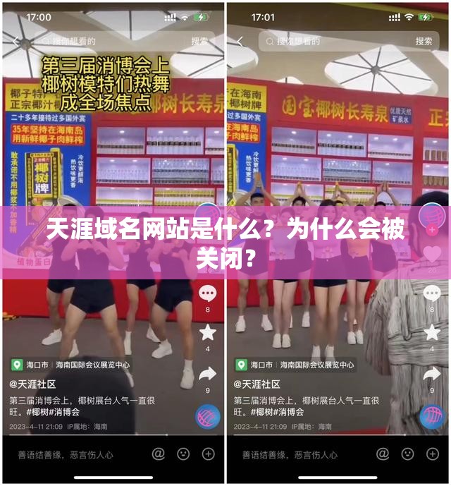 天涯域名网站是什么？为什么会被关闭？