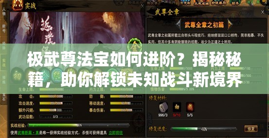 极武尊法宝如何进阶？揭秘秘籍，助你解锁未知战斗新境界？