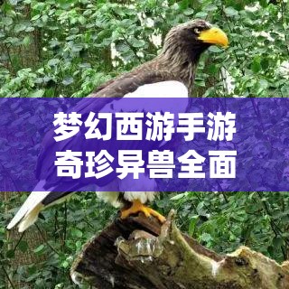 梦幻西游手游奇珍异兽全面介绍，它们的演变史究竟隐藏了哪些惊喜？