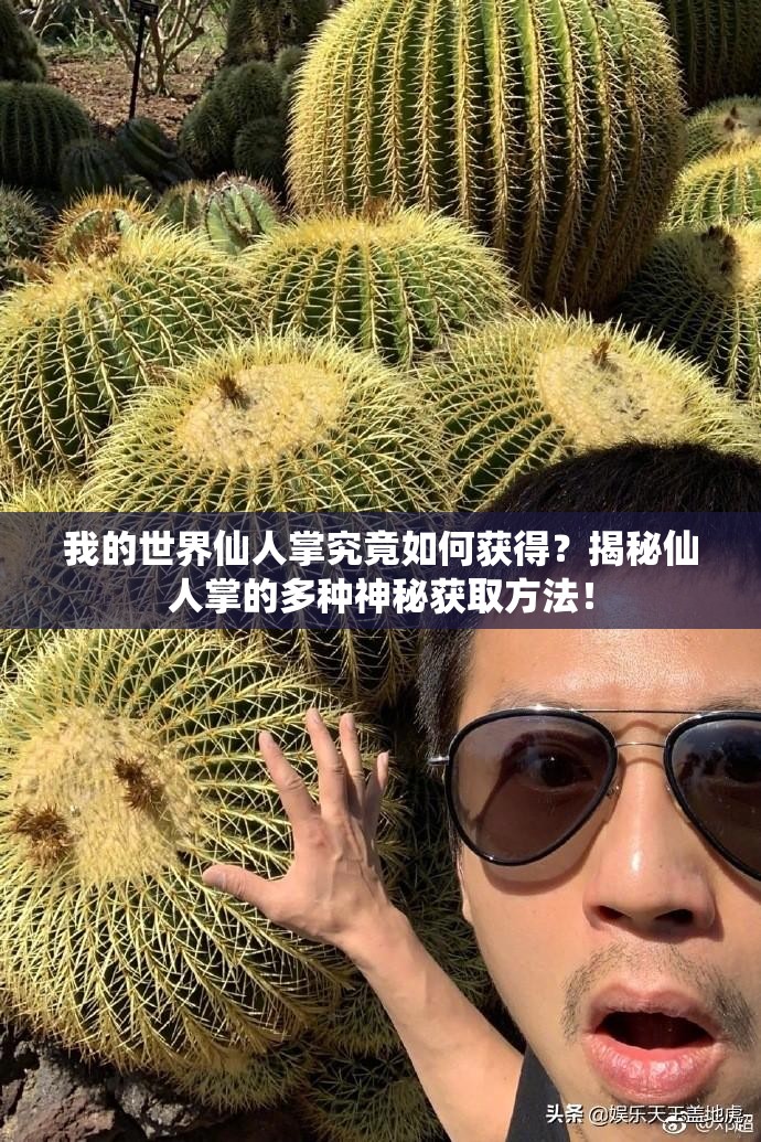 我的世界仙人掌究竟如何获得？揭秘仙人掌的多种神秘获取方法！