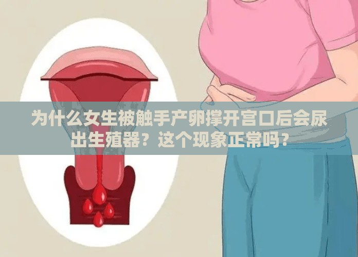 为什么女生被触手产卵撑开宫口后会尿出生殖器？这个现象正常吗？