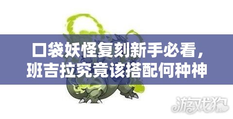 口袋妖怪复刻新手必看，班吉拉究竟该搭配何种神秘道具？