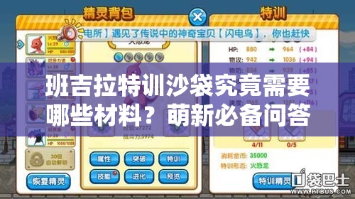 班吉拉特训沙袋究竟需要哪些材料？萌新必备问答揭秘！