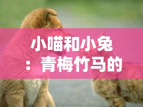 小喵和小兔：青梅竹马的甜蜜日常，你想知道吗？
