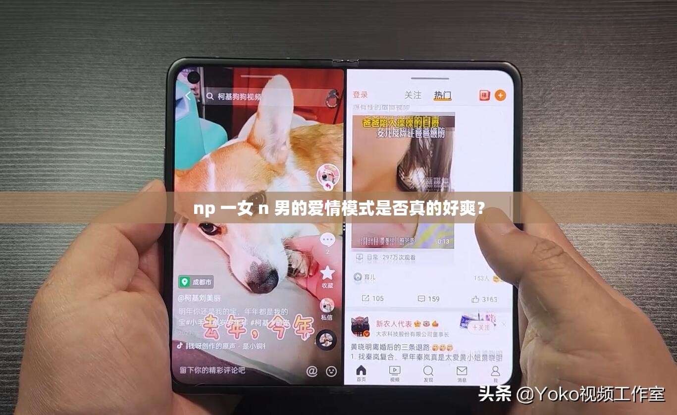 np 一女 n 男的爱情模式是否真的好爽？