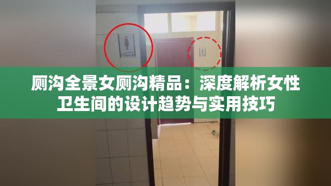 厕沟全景女厕沟精品：深度解析女性卫生间的设计趋势与实用技巧