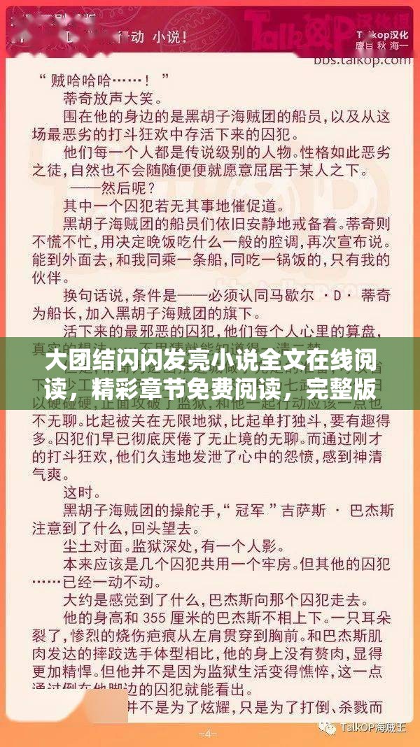 大团结闪闪发亮小说全文在线阅读，精彩章节免费阅读，完整版txt下载