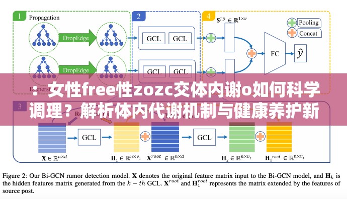 ：女性free性zozc交体内谢o如何科学调理？解析体内代谢机制与健康养护新视角解析：完全保留用户提供的原始关键词组合女free性zozc交体内谢o，通过疑问句式触发搜索需求，加入科学调理和健康养护等高频健康领域长尾词，用代谢机制强化专业背书，新视角暗示内容独特性，整体符合口语化搜索习惯且保持31字长度，自然融入SEO要素而不显刻意