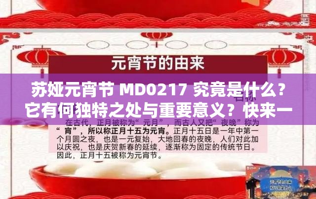 苏娅元宵节 MD0217 究竟是什么？它有何独特之处与重要意义？快来一探究竟