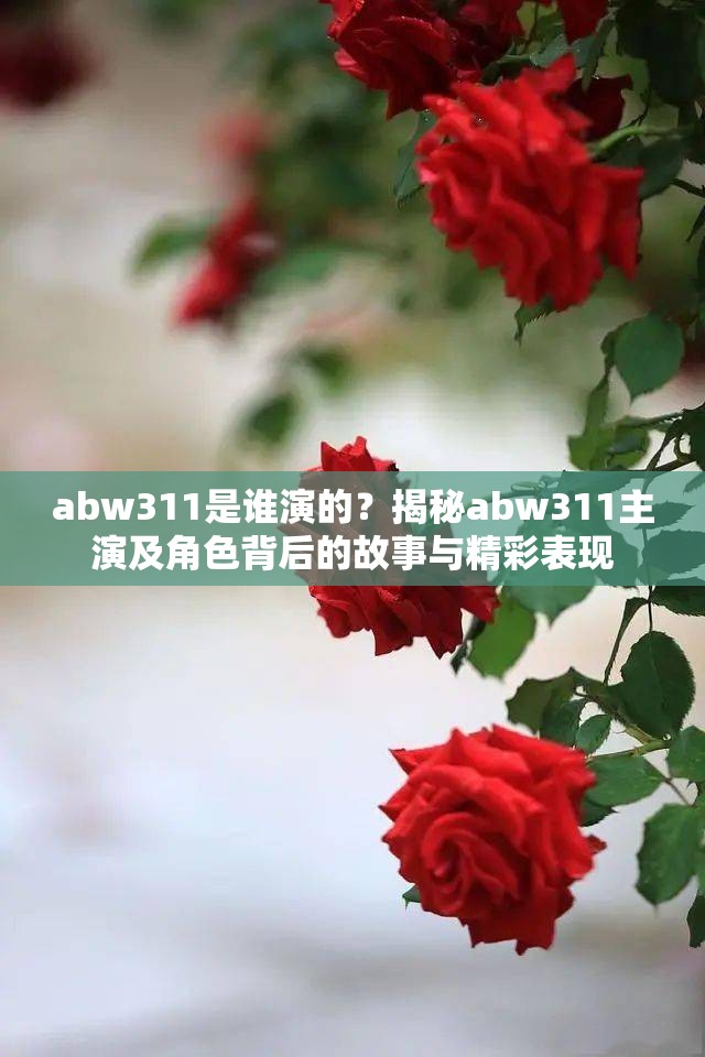 abw311是谁演的？揭秘abw311主演及角色背后的故事与精彩表现