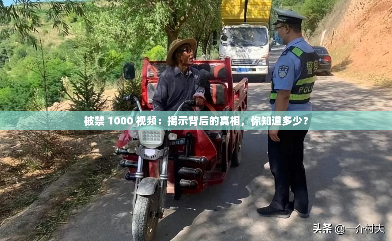 被禁 1000 视频：揭示背后的真相，你知道多少？