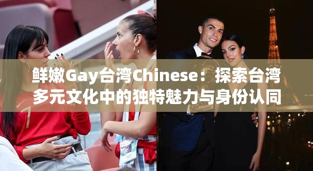 鲜嫩Gay台湾Chinese：探索台湾多元文化中的独特魅力与身份认同