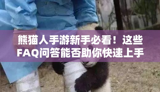 熊猫人手游新手必看！这些FAQ问答能否助你快速上手，悬念揭晓？