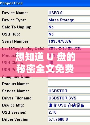 想知道 U 盘的秘密全文免费阅读的途径吗？快来这里寻找答案