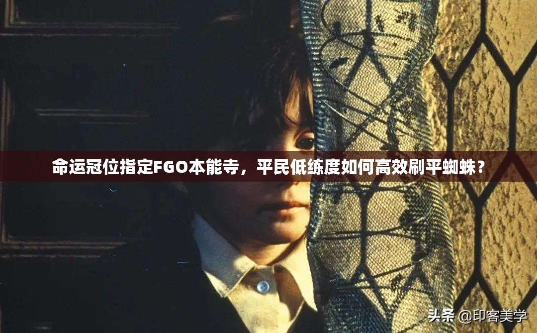 命运冠位指定FGO本能寺，平民低练度如何高效刷平蜘蛛？