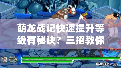 萌龙战记快速提升等级有秘诀？三招教你轻松超越他人？
