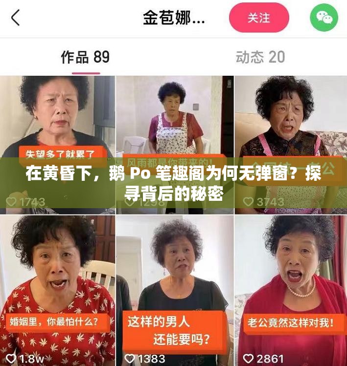 在黄昏下，鹅 Po 笔趣阁为何无弹窗？探寻背后的秘密