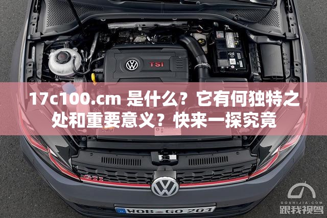 17c100.cm 是什么？它有何独特之处和重要意义？快来一探究竟